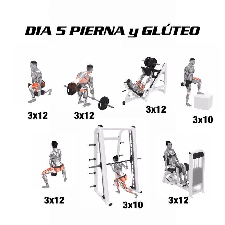 Día 5 hombros y abdominales
